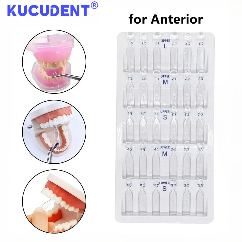 Teeth Whitening Moulds - 30 Stück/Set Dental-Furnierform für Vorderzähne, Komposit-Harzform,