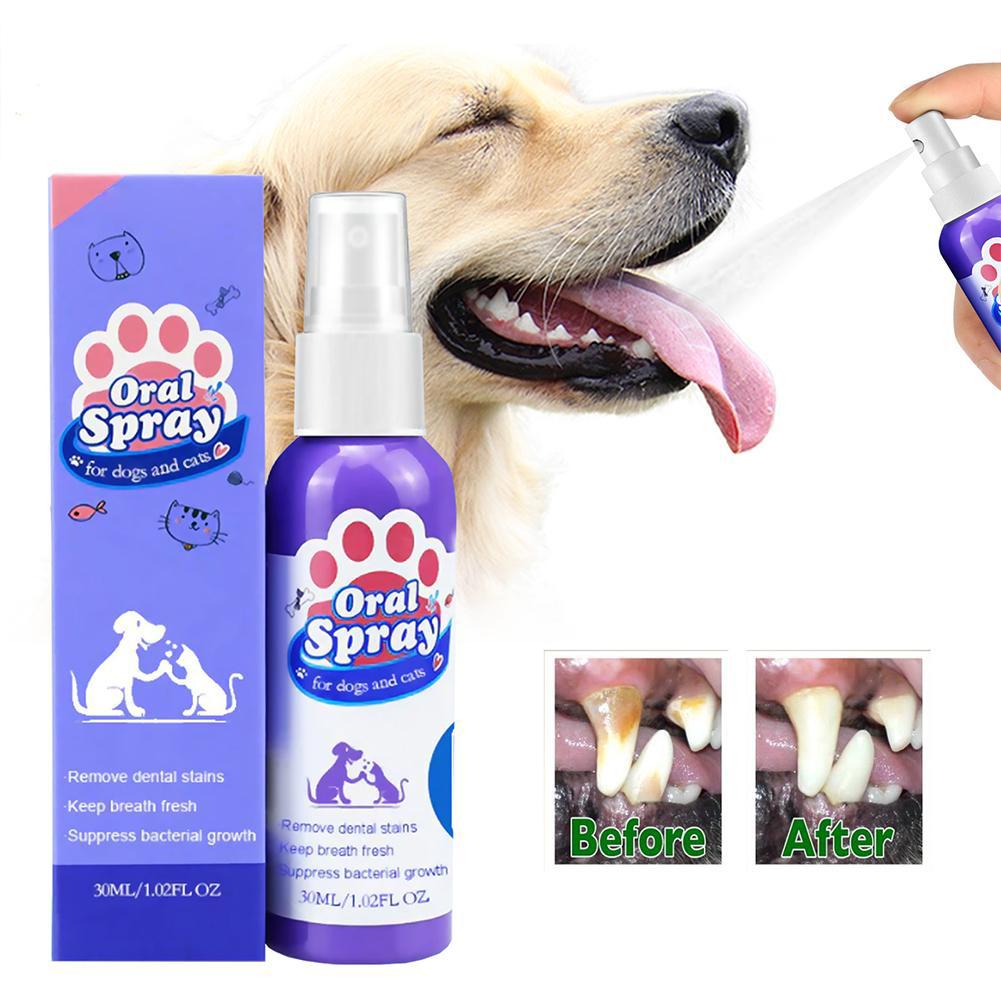 Mundspray für Haustiere, Frisc – Teeth Whitening Mouthwash Bewertung und Preis