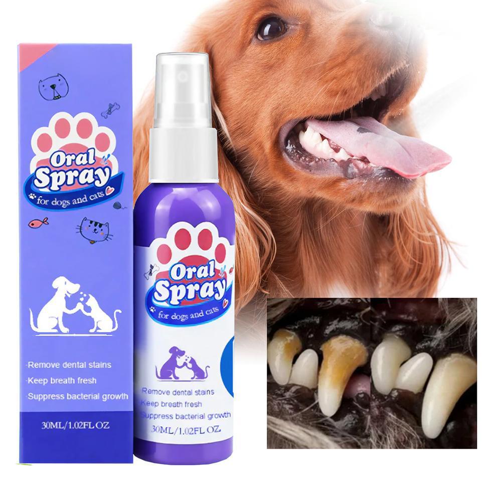 Mundspray für Haustiere, Frisc – Teeth Whitening Mouthwash Bewertung und Preis