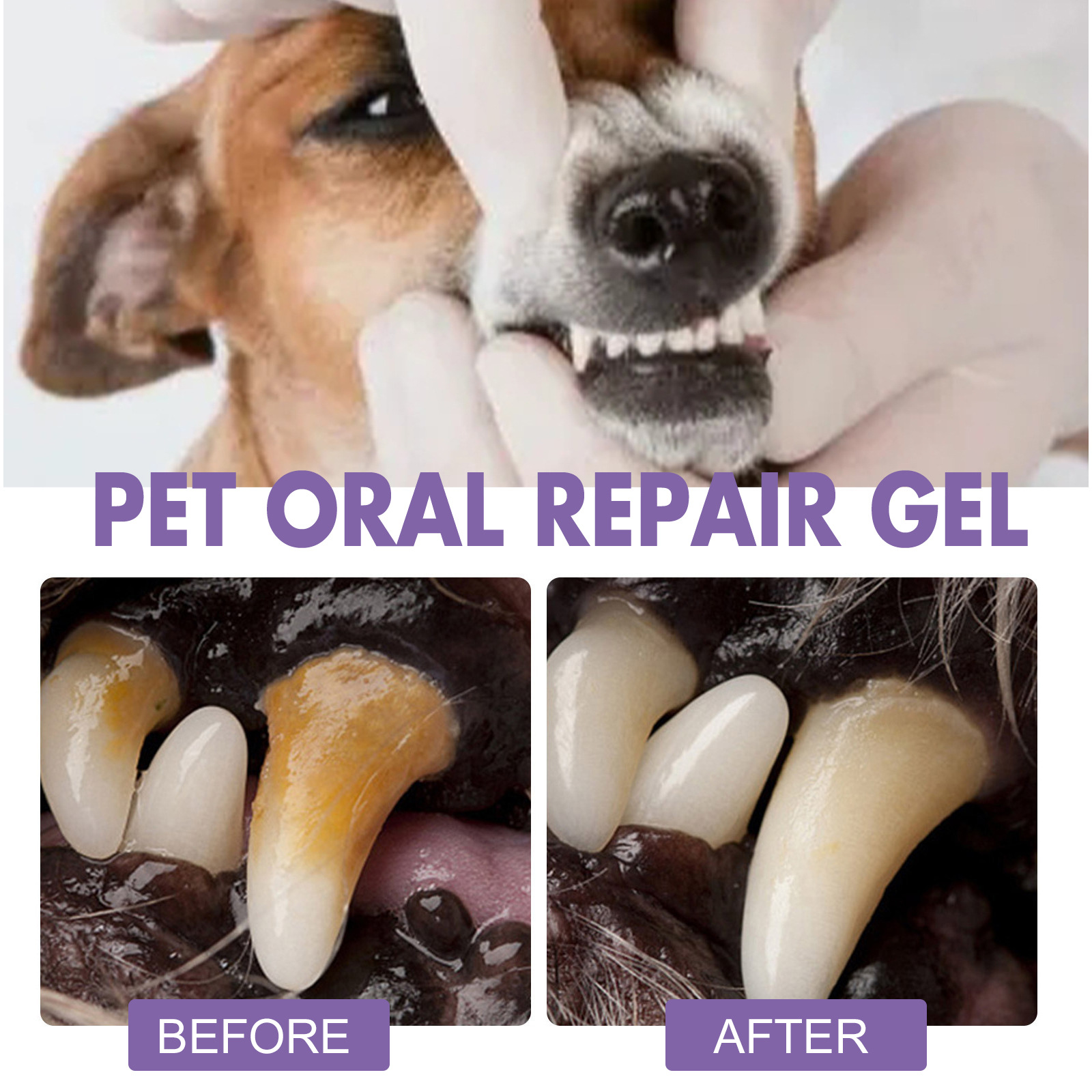 Pet Oral Repair Gel Welpen Zah – Teeth Whitening Mouthwash Bewertung und Preis
