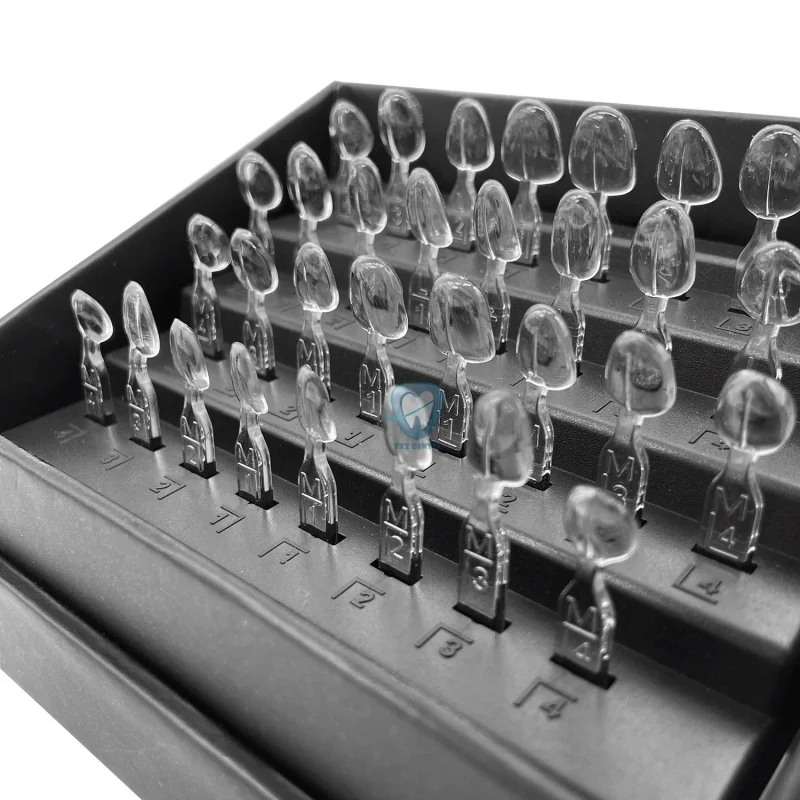 32 teile/satz Dental Furnier F – Teeth Whitening Moulds Bewertung und Preis
